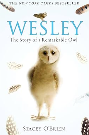 Wesley: The Story of a Remarkable Owl by Stacey O’Brien